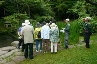 第２回公園ウォーキングツアーを実施しました