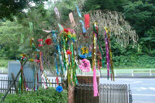 短冊に願いを込めて！