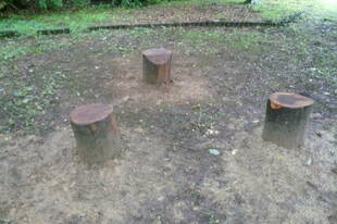 丸太イスを設置しました