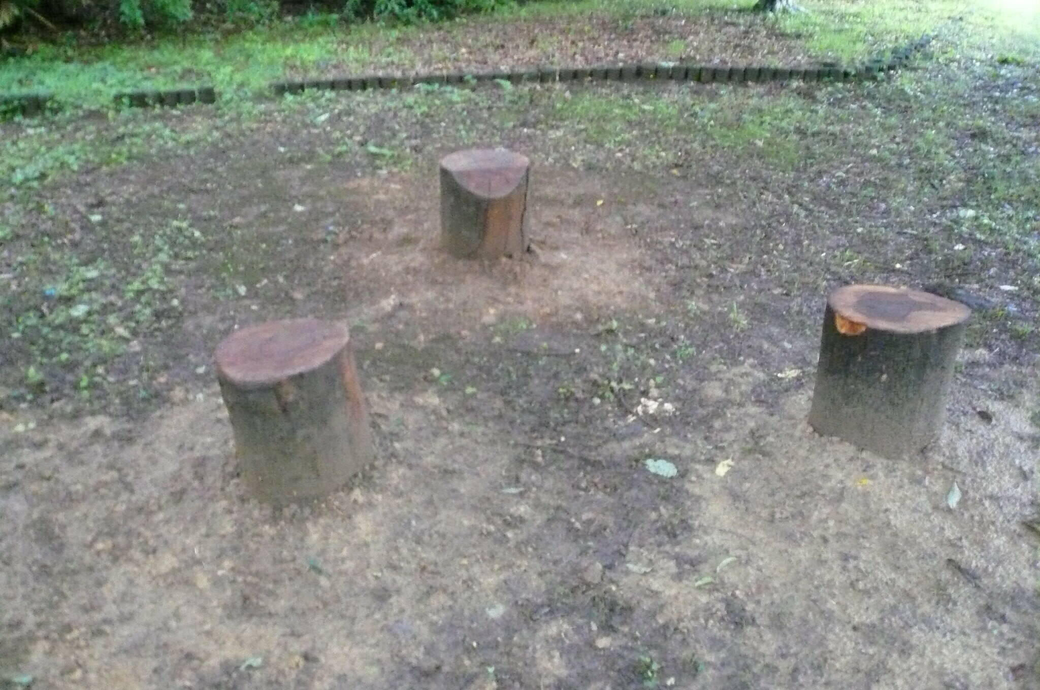 丸太イスを設置しましたの写真