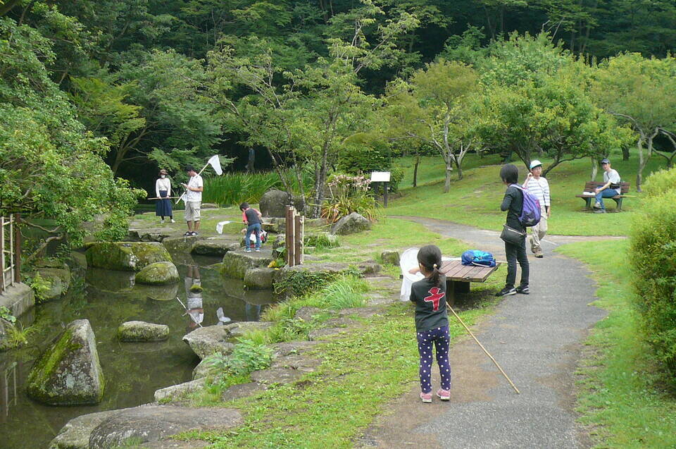トンボとり大作戦【7月13日】の写真