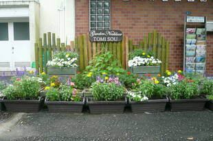 Garden Necklace TOMISOU