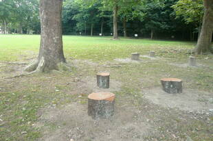 続・丸太イスを設置しました