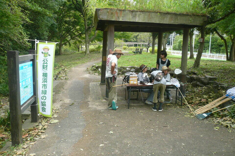 トンボとり大作戦【9月14日】の写真
