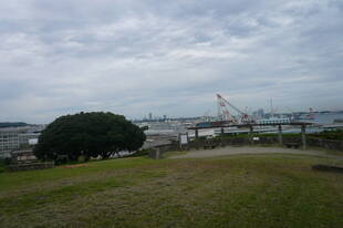 台風被害による公園の復旧作業を行っています