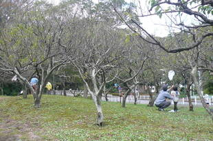 トンボとり大作戦【10月20日】