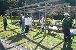 第３回公園ウォーキングツアーを実施しました