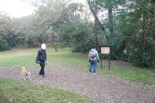 セキュリティポストを設置しました