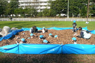 落ち葉プールを実施しました