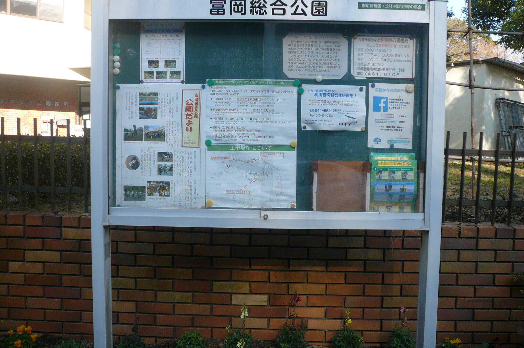 公園だより冬号の写真