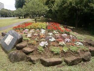 七夕飾りその他