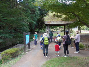 第2回公園ウォーキングツアーを開催しました。