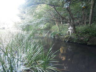 池の整備と彼岸花