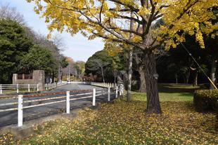 12月4日に富岡総合公園歴史ガイドツアーを開催しました。