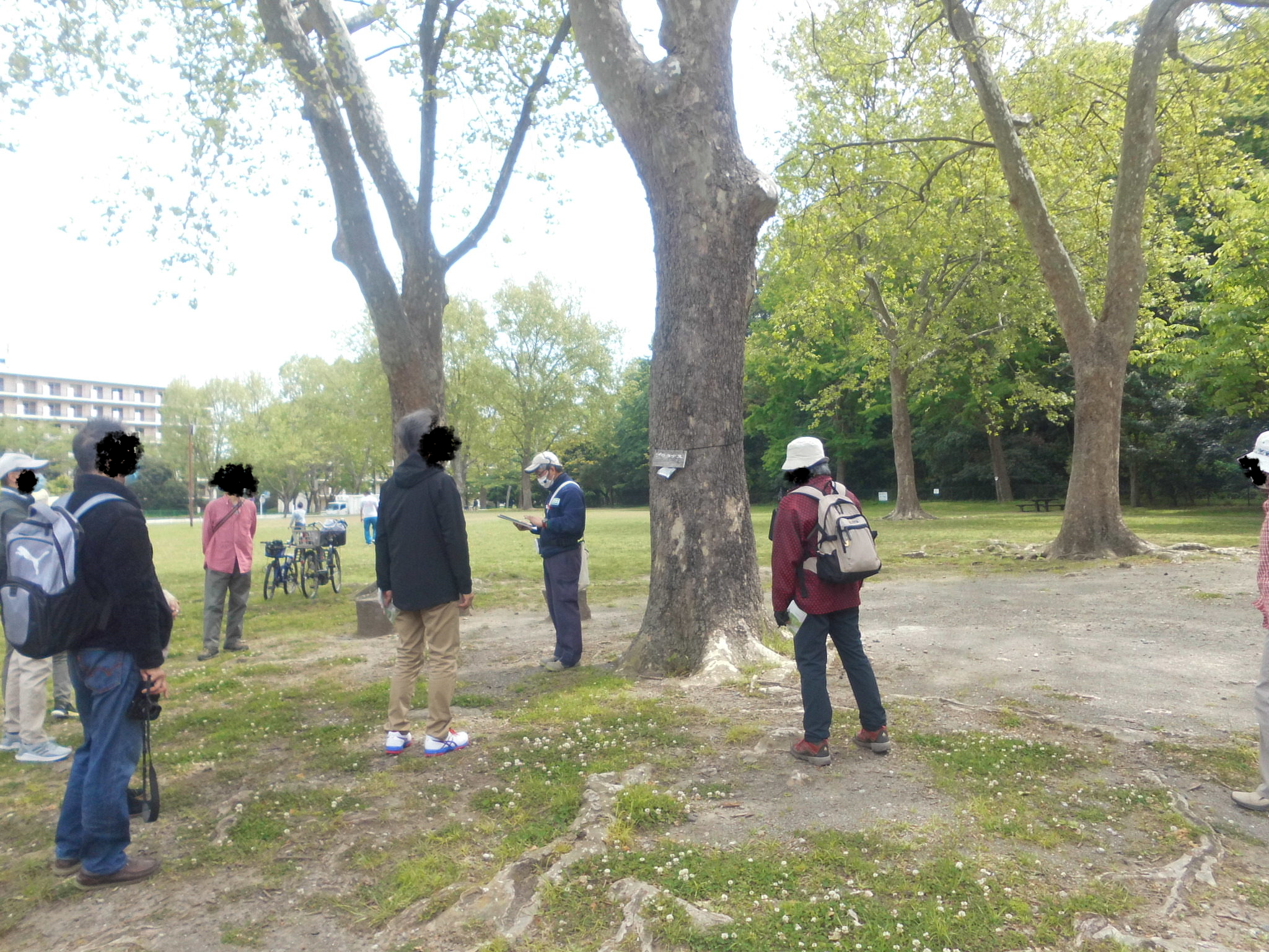 4月24日(土)第1回公園ウォーキングツアーを開催しました。の写真
