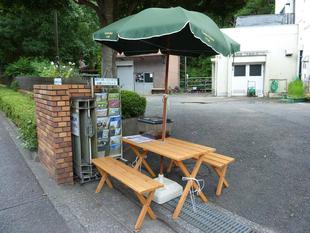 カブトムシ・クワガタ展示