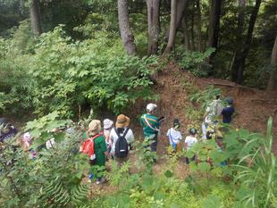 7月31日（土）第3回公園ウォーキングツアーを開催しました