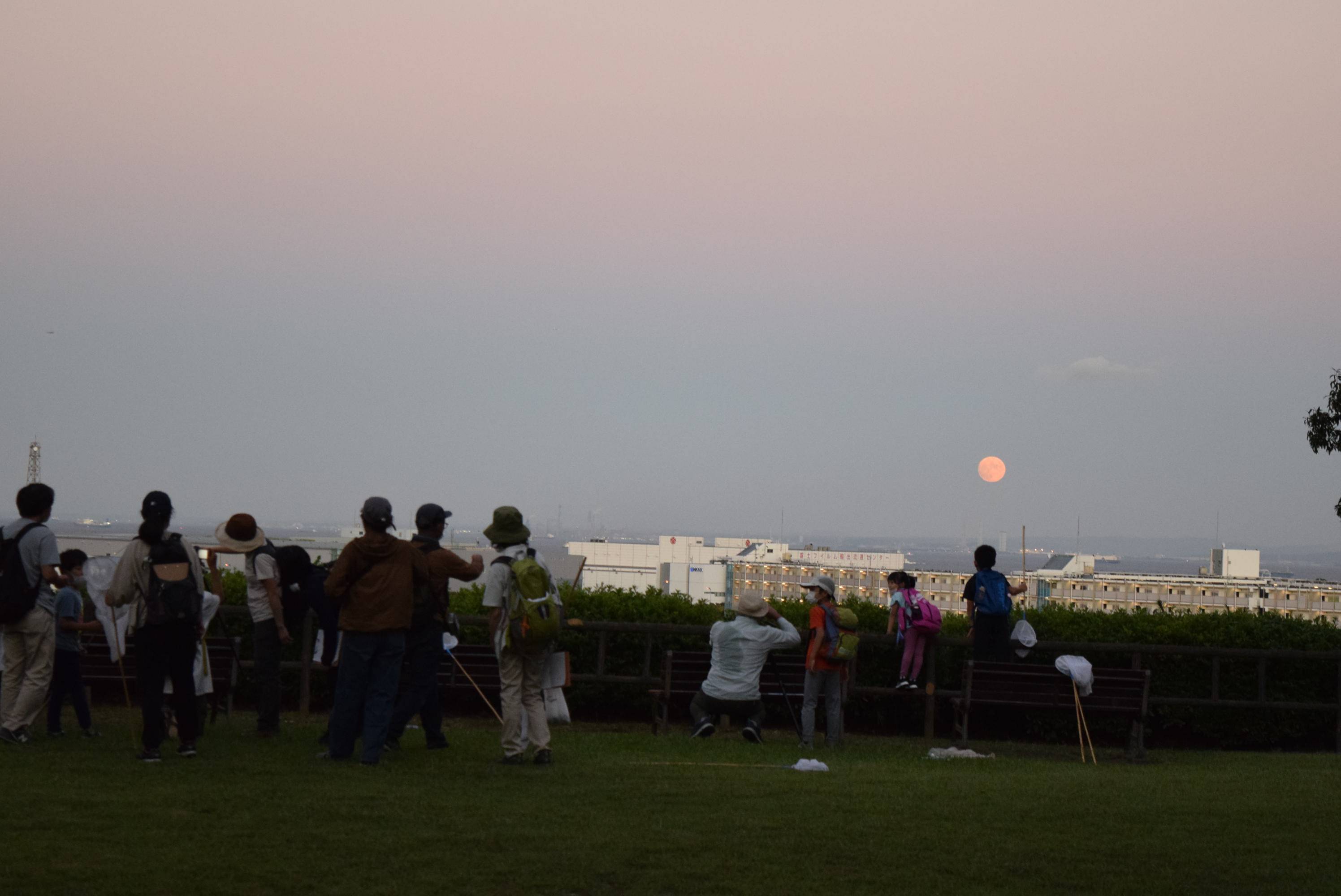 中秋の名月の写真