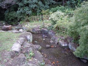 紫式部とホトトギス