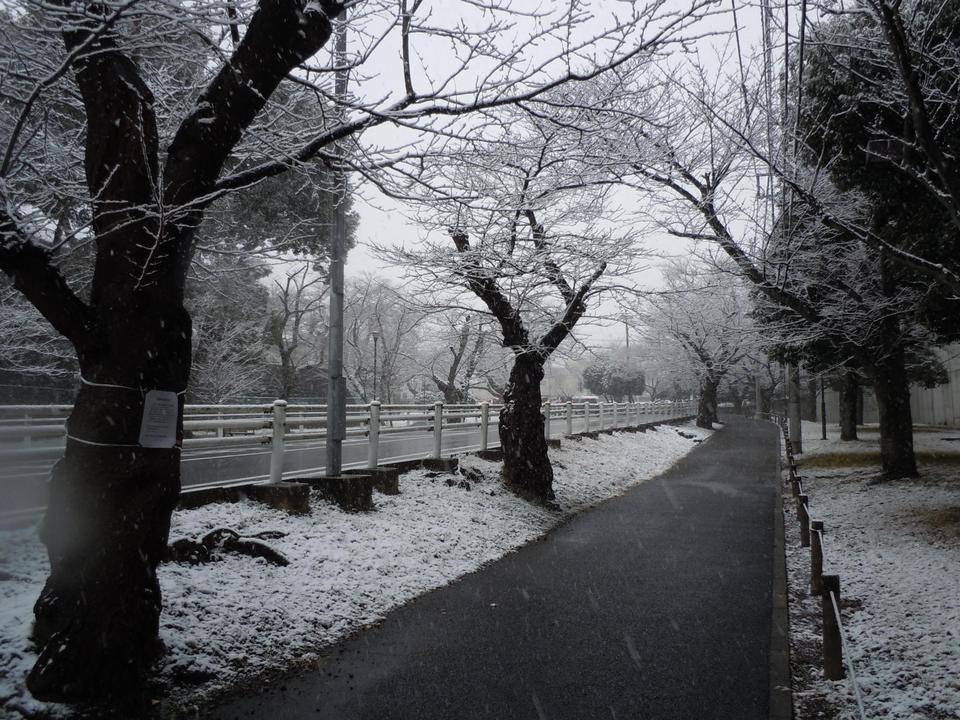 大雪注意報の写真