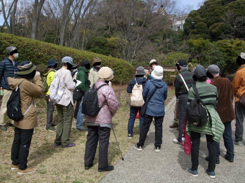 3月19日に第8回公園ウォーキングツアー『自然観察ウォーキング』を開催しました!!の写真