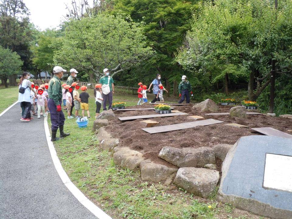 夏花壇花植え2の写真