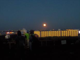 令和4年度「第4回公園ウオーキングツアー」を開催しました。