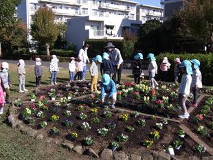 花壇花植えイベント