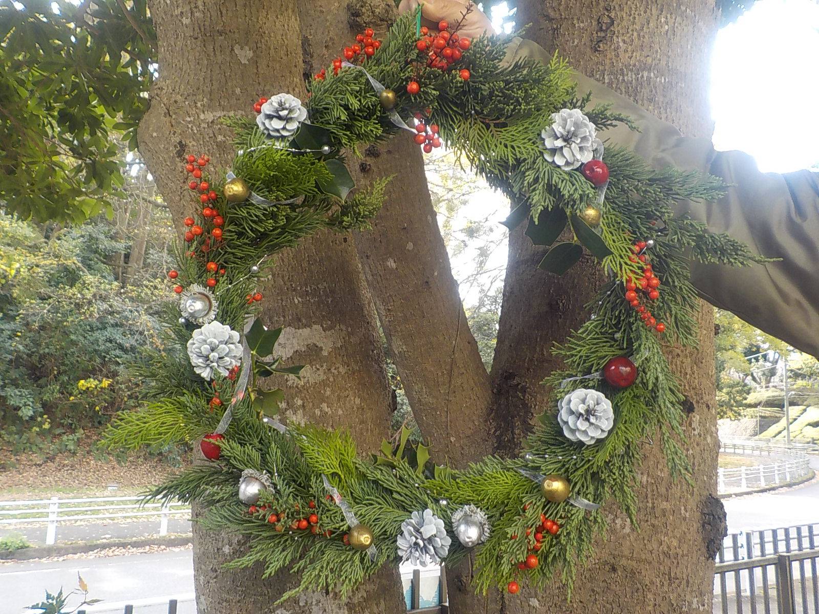 第6回公園ウオーキングツアー(クリスマスリース作り)を行いました。の写真