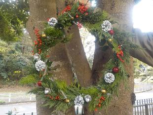 第６回公園ウオーキングツアー（クリスマスリース作り）を行いました。