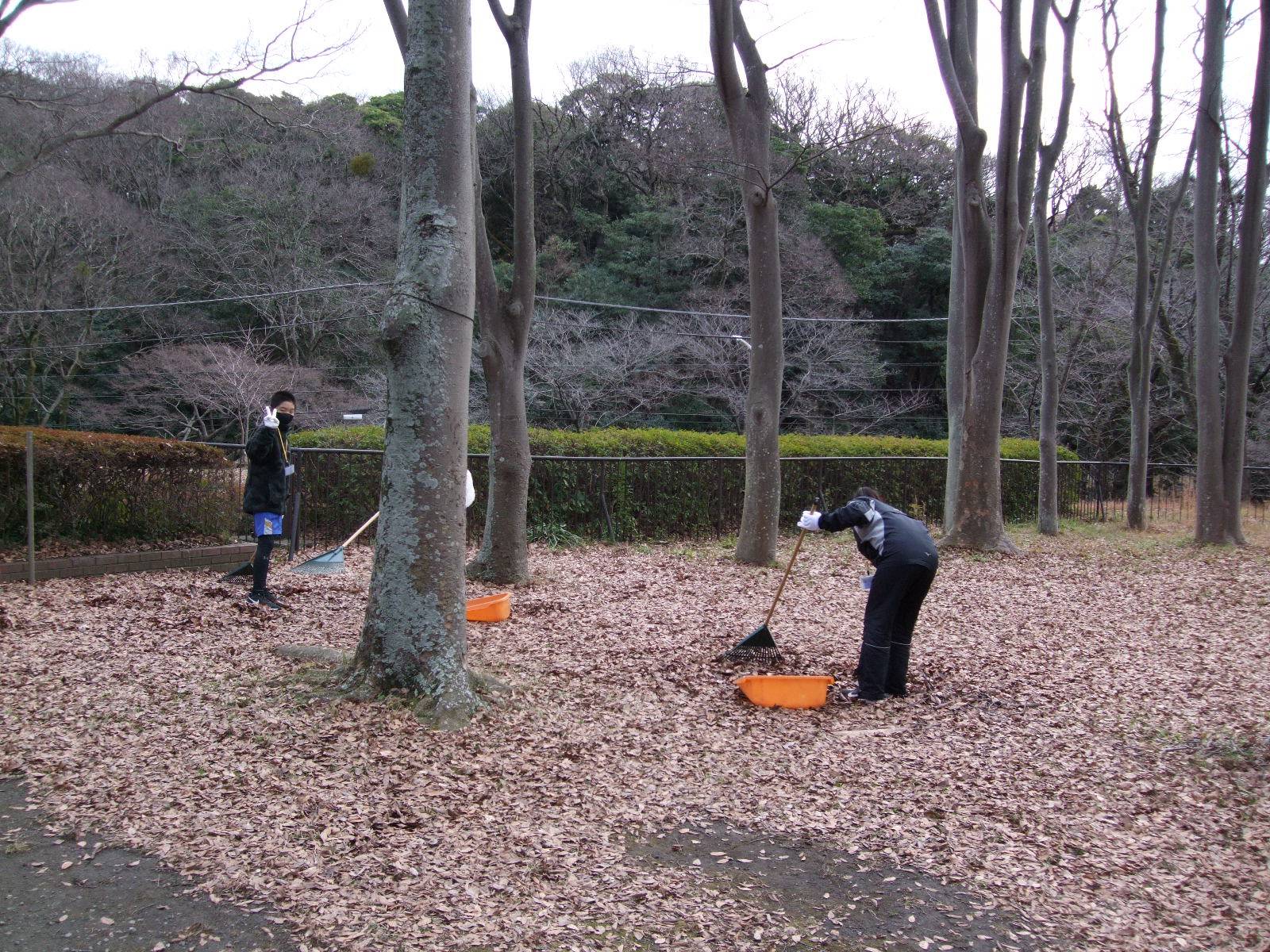 職場体験学習に中学生の皆さんが来園されました。の写真
