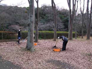 職場体験学習に中学生の皆さんが来園されました。