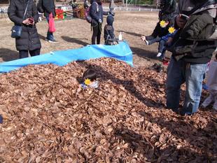 いっぱい遊ぼう！