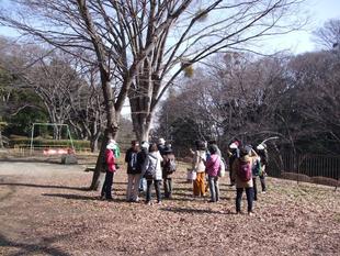 第７回公園ウォーキングツアー「自然観察ウォーキング」を実施しました。