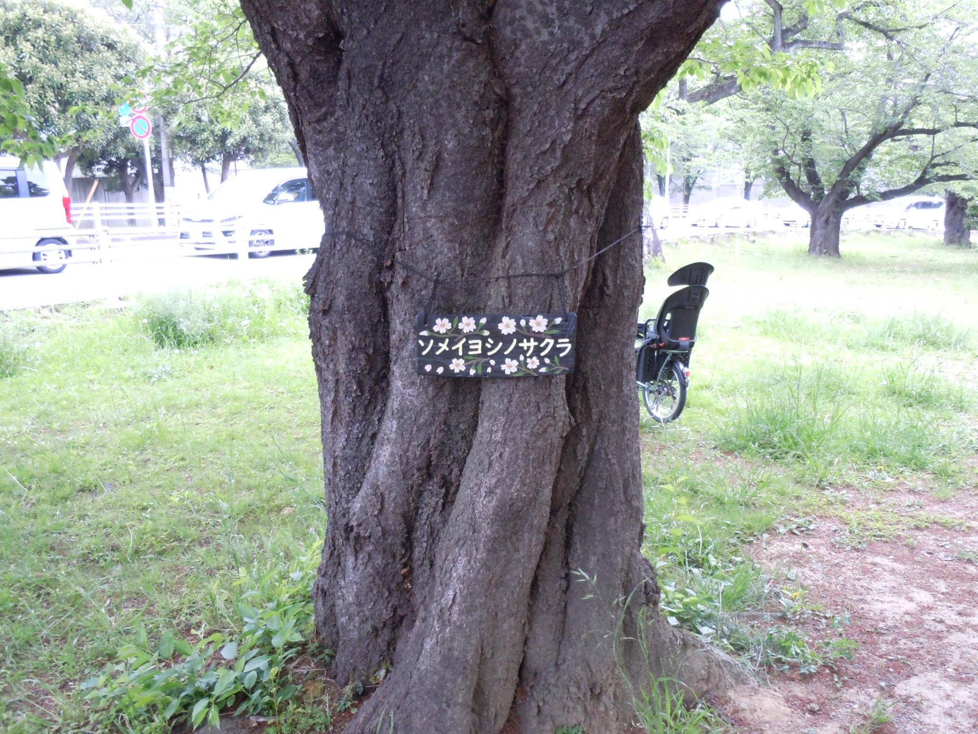 樹名板制作の写真