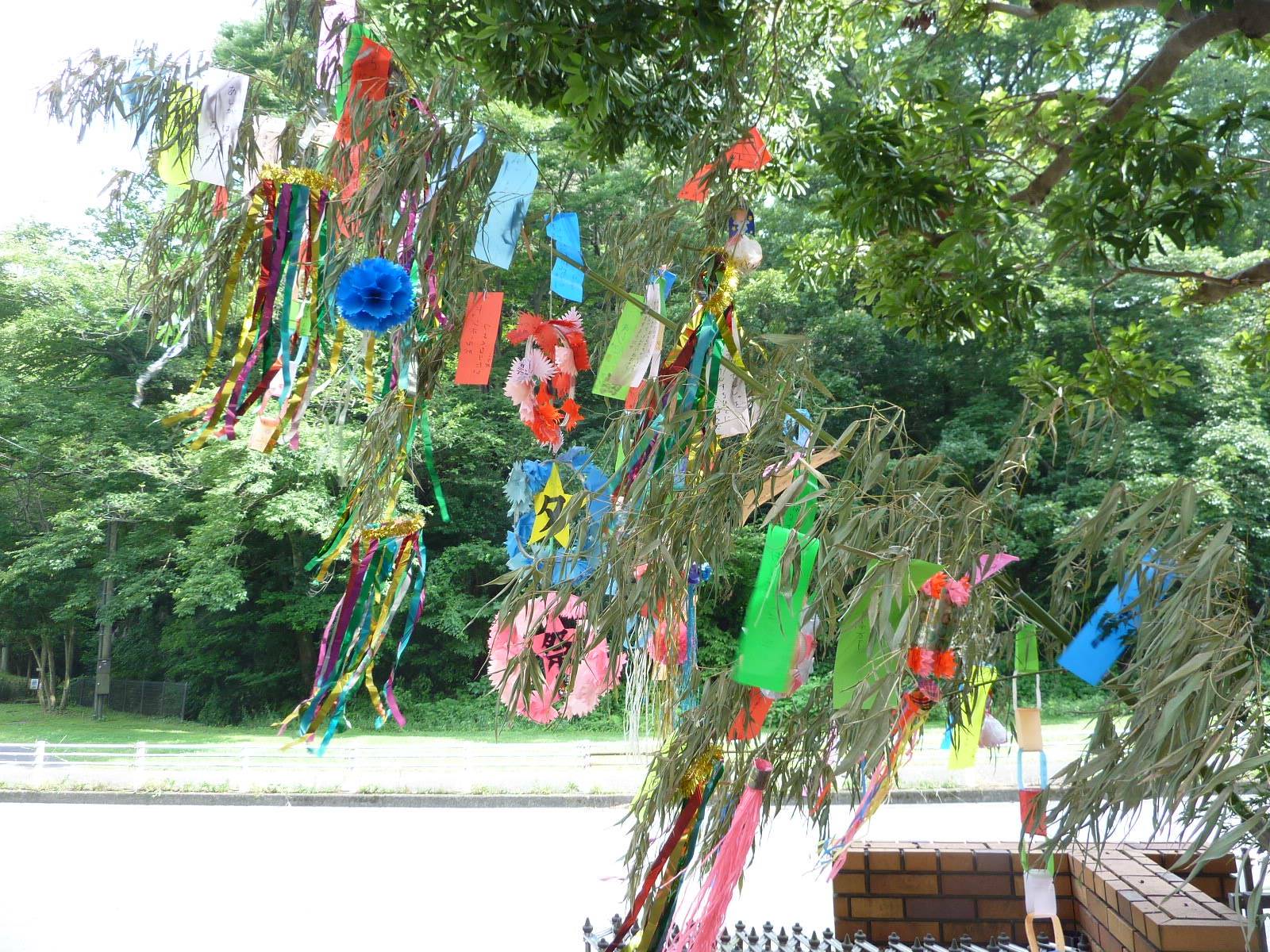 七夕飾りの写真