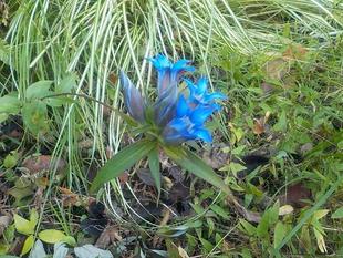 10月28日（土）富岡総合公園第4回と第5回の公園ウォーキングツアーを開催いたします！！