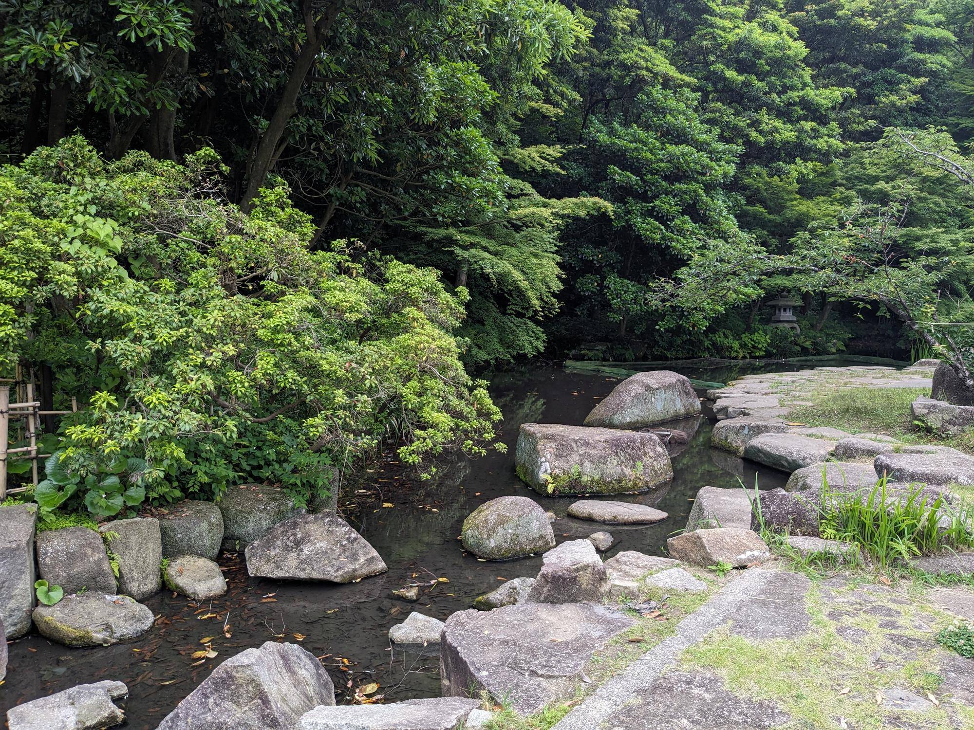 外来生物とのお付き合いの写真