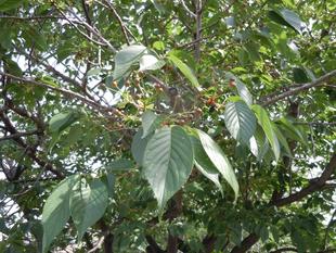 地味ですが・・・