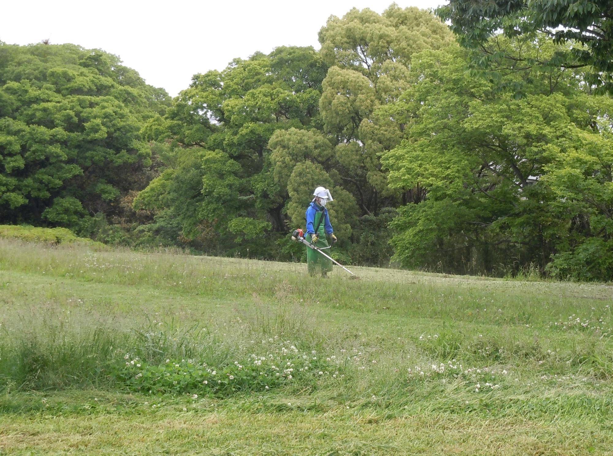 園地のお仕事:草刈りの写真