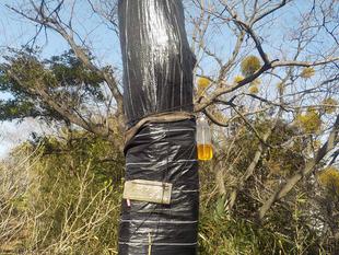 園地のお仕事：ハチトラップ