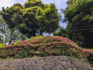 富総、今の季節