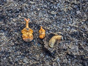 富総の仲間たち Part2