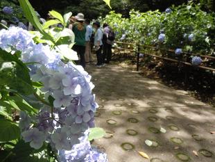 第２回富岡総合公園ウォーキングツアーを開催しました！