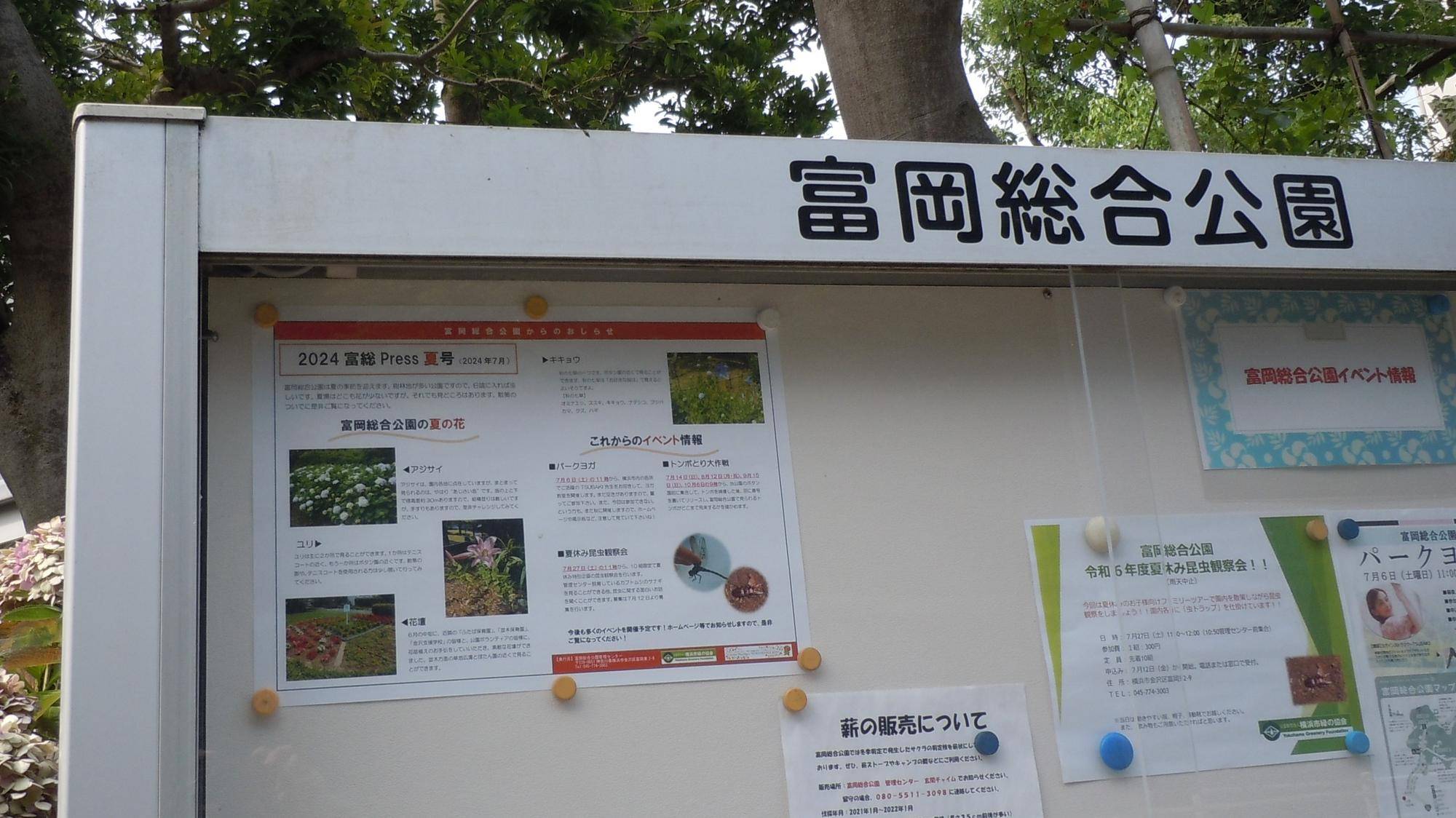 富総press(とみそうプレス)夏号を発行しましたの写真