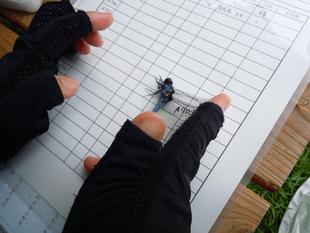 「トンボとり大作戦」を実施しました♪