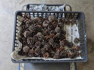 ただいま製作中！