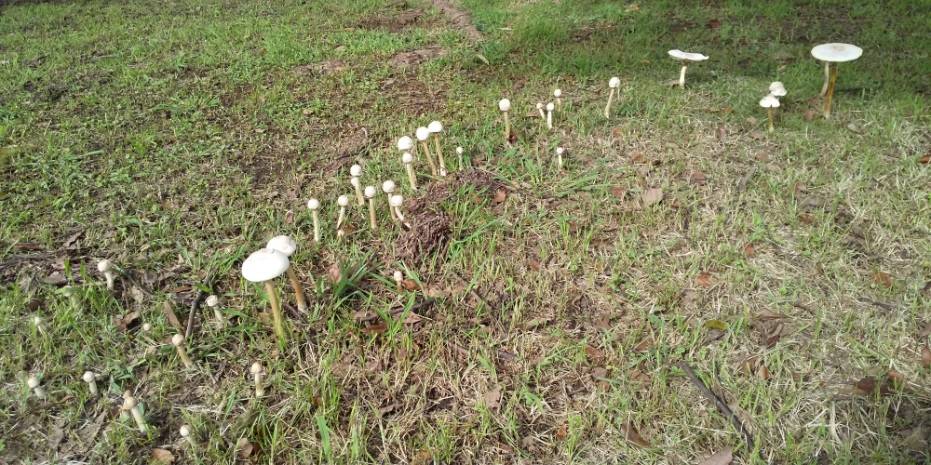 富総に妖精あらわる!?の写真