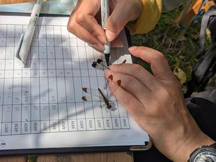 9月15日「トンボとり大作戦」を実施しました♪