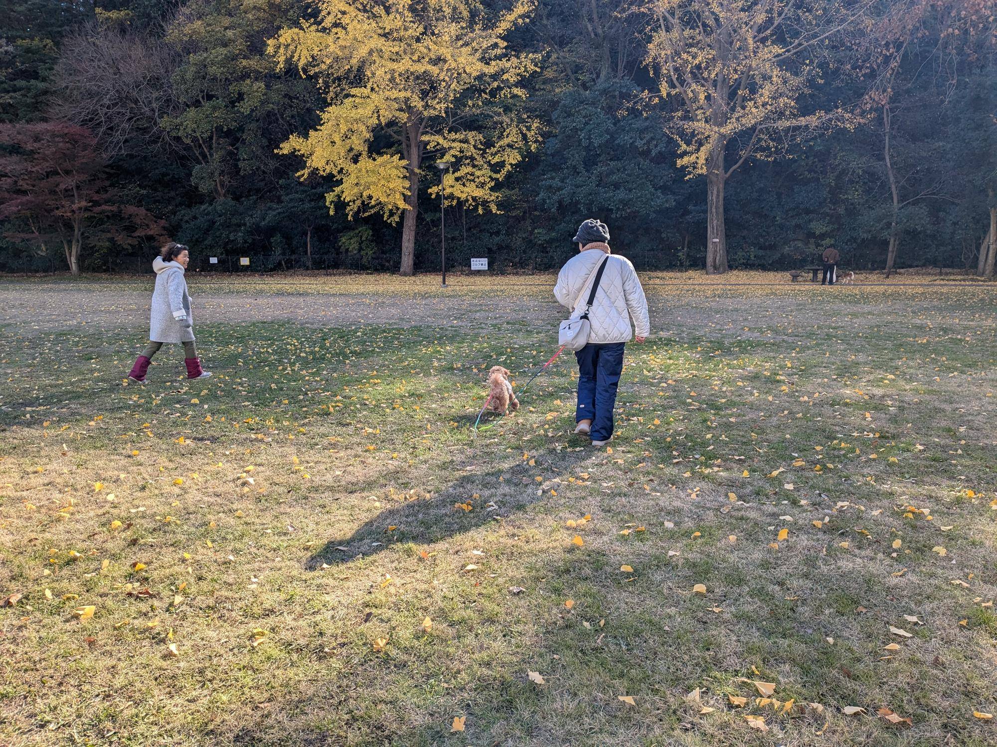 「愛犬マナー教室」を開催しましたの写真